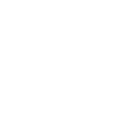 Freedom Bridge Capital